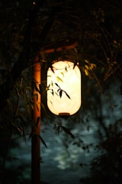 A softly glowing lantern surrounded by fading dandelion seeds in a dark, peaceful setting.