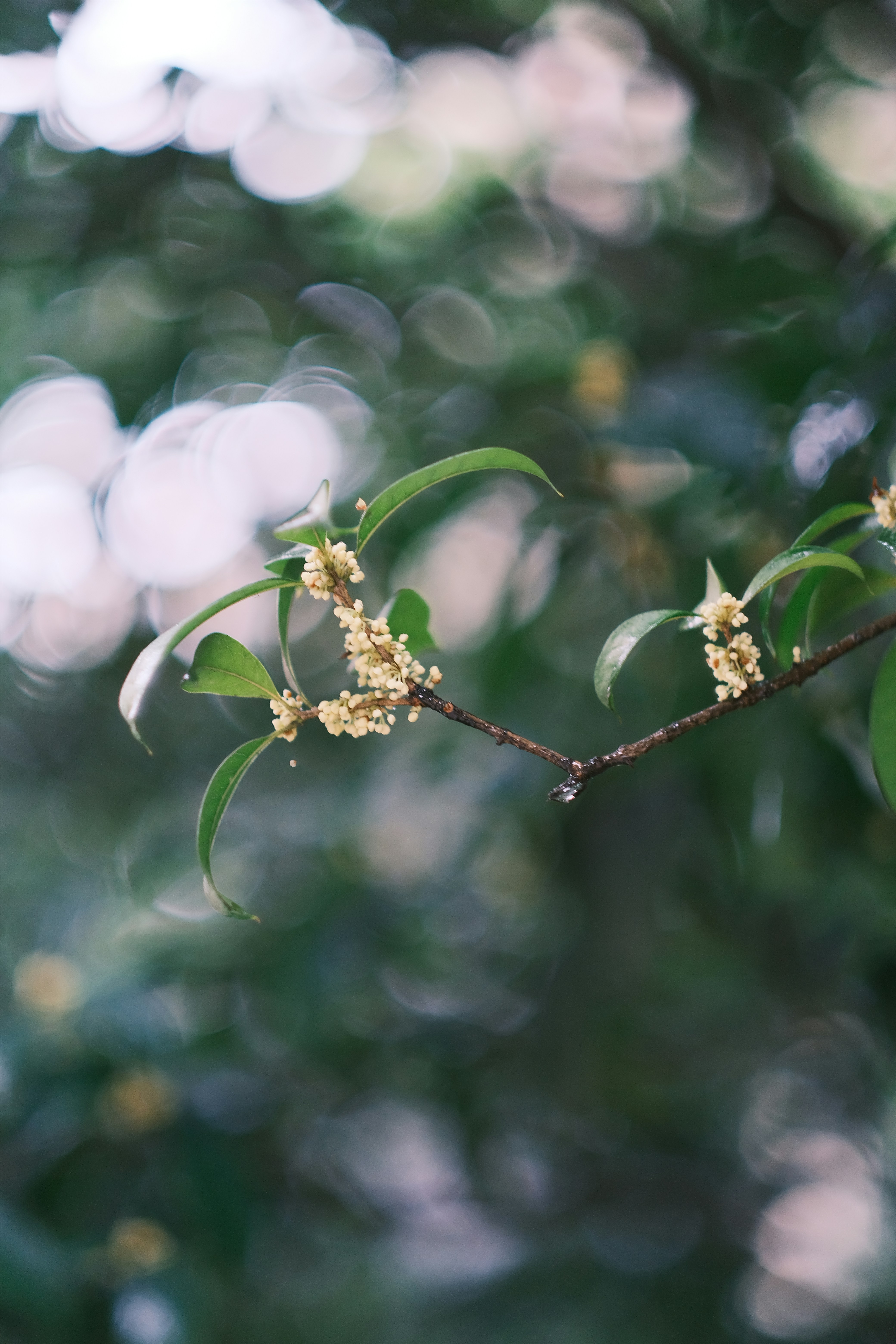 Photo by maycloudbackup
