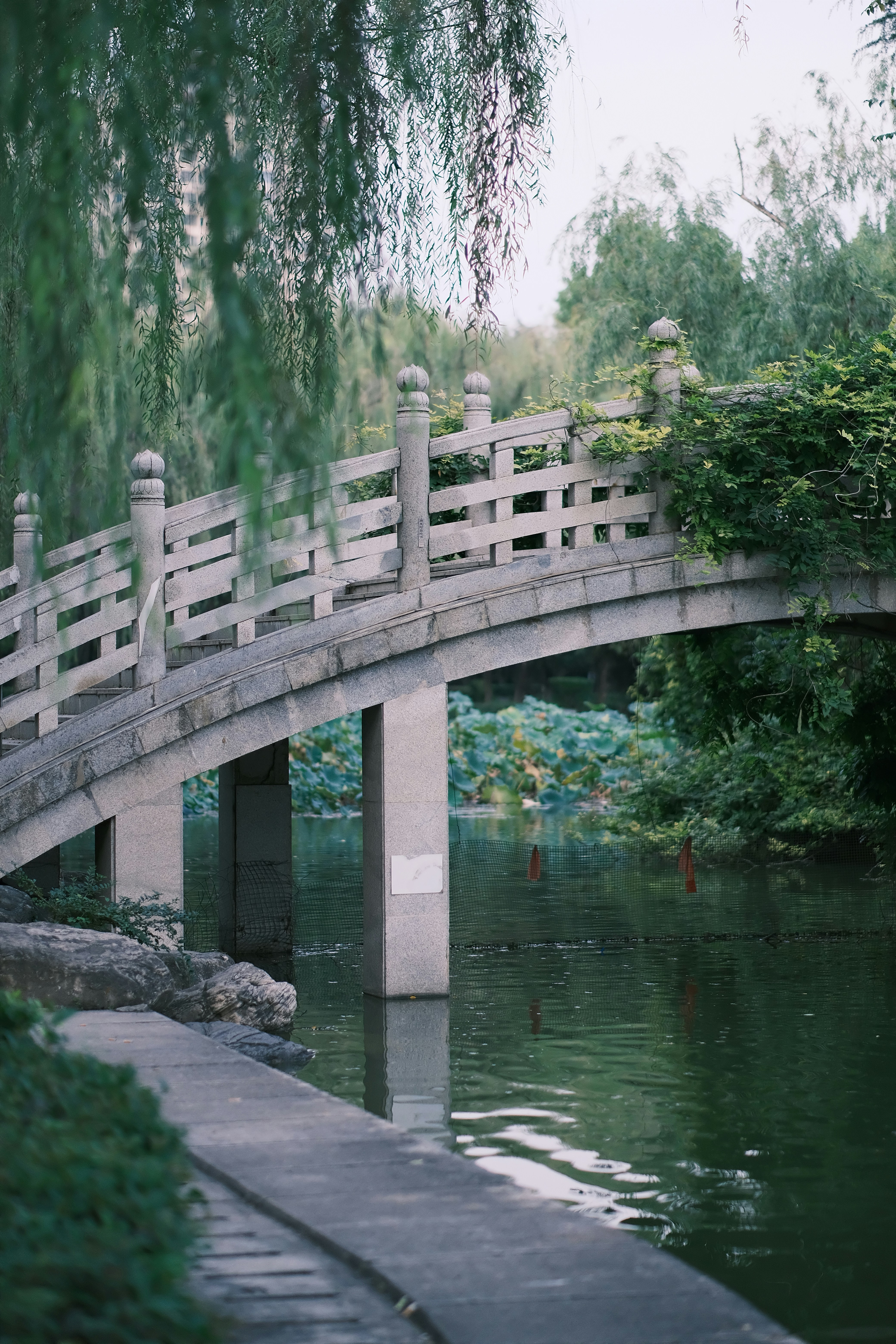 Photo by maycloudbackup