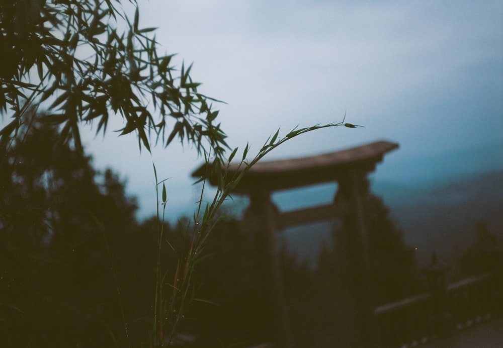 a small wooden bench sitting next to a tree