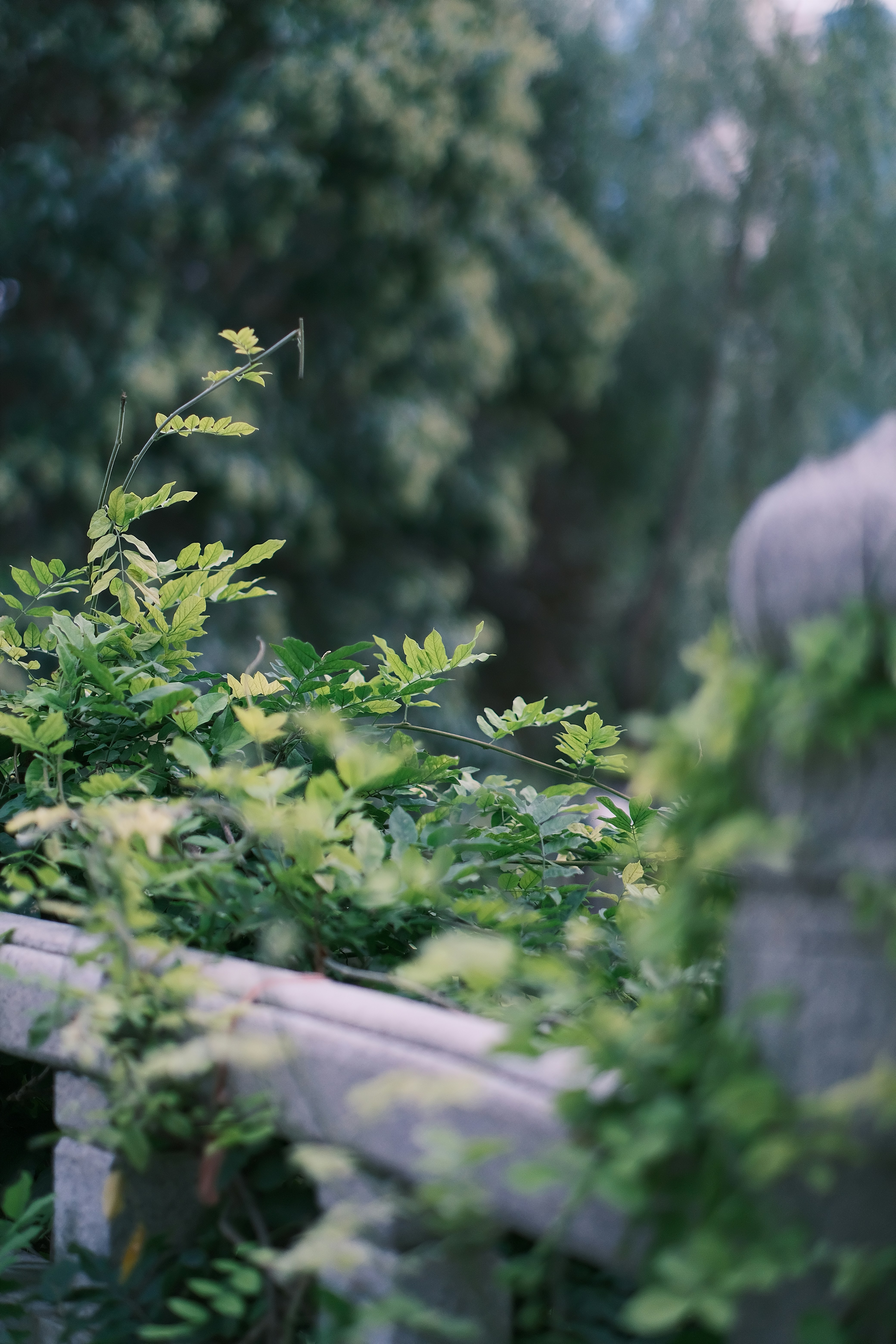 Photo by maycloudbackup