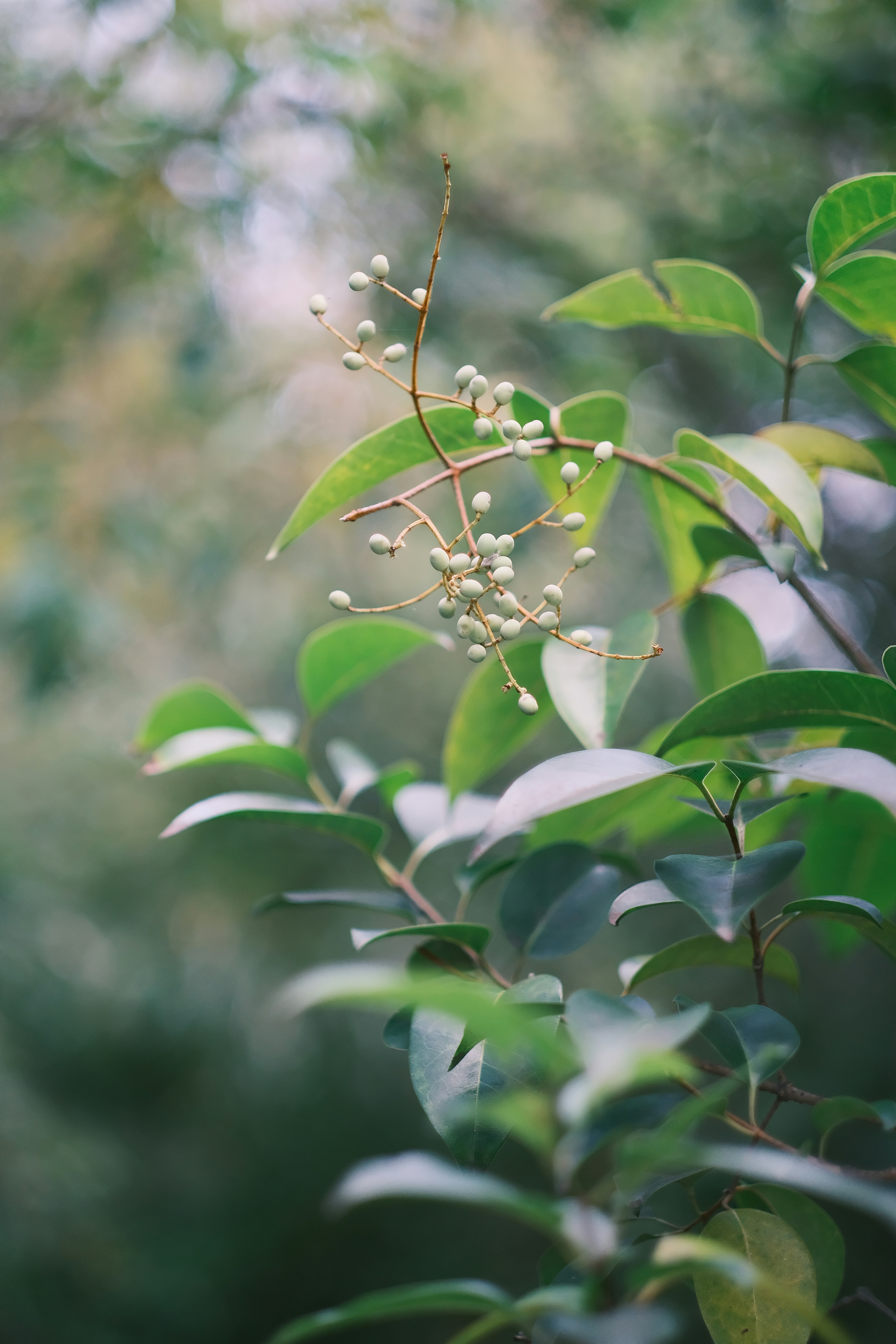 Photo by maycloudbackup