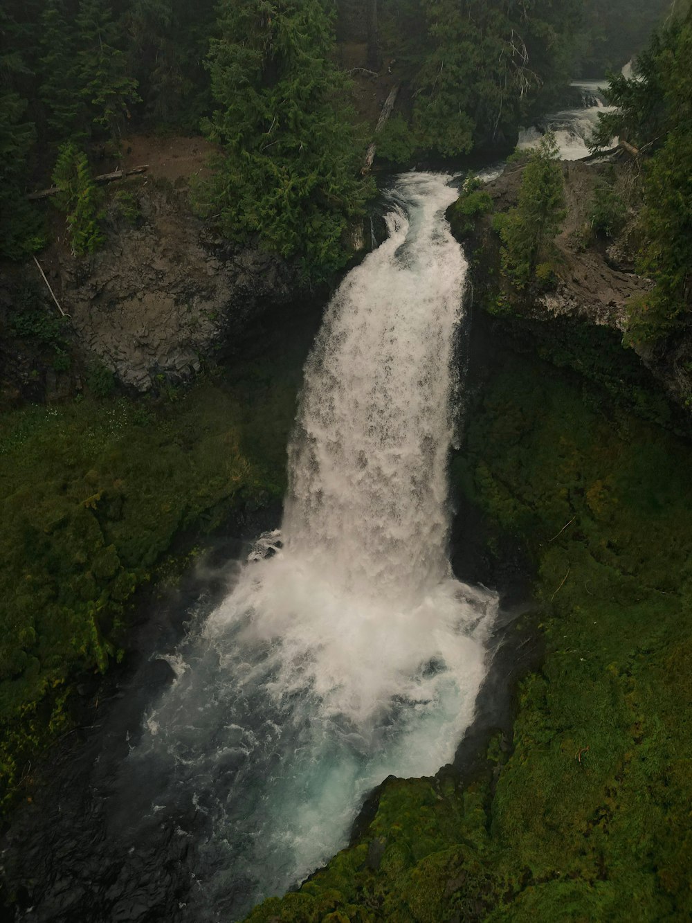 a large waterfall in the middle of a forest