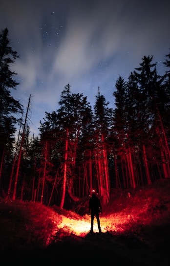 A shadowy figure standing under a glowing UFO in a dark forest clearing.