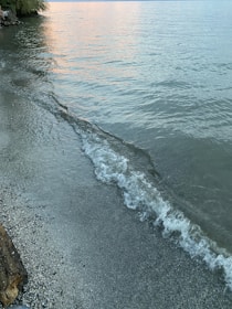 Gentle waves lapping a quiet shore at dawn, symbolizing renewal and hope.