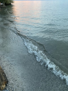 Gentle waves lapping a quiet shore at dawn, symbolizing renewal and hope.