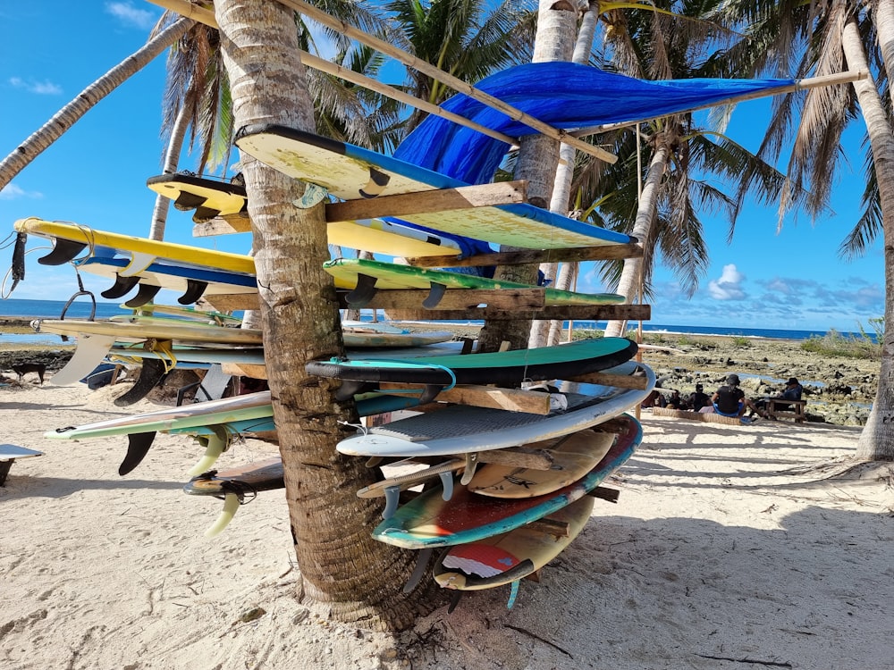 a bunch of surfboards that are on a tree