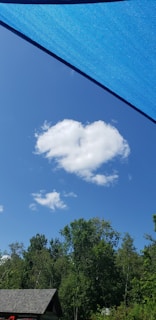 A vibrant landscape of Colombia with a heart-shaped cloud in the sky.