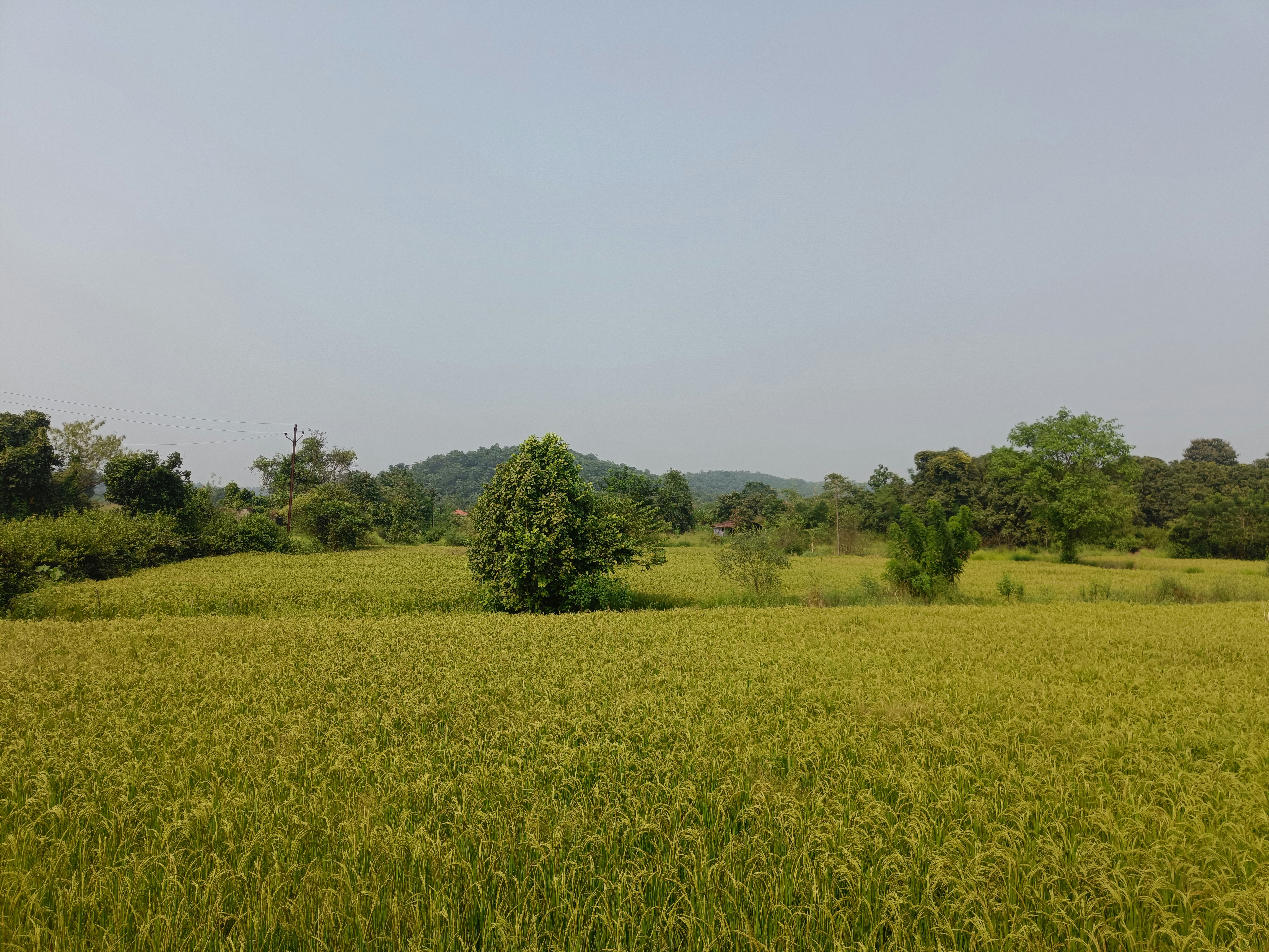 Photo by vinayak05