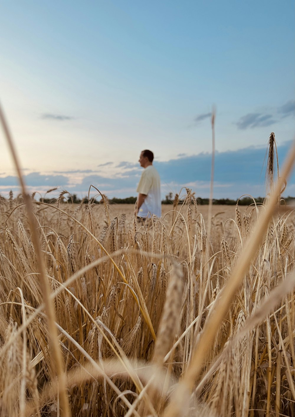 a man standing in a field of wheat