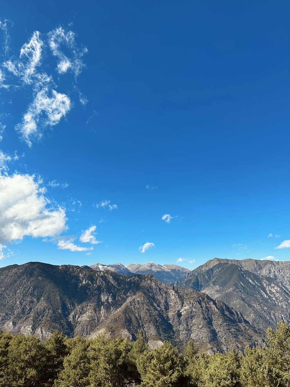 a scenic view of a mountain range with trees in the foreground