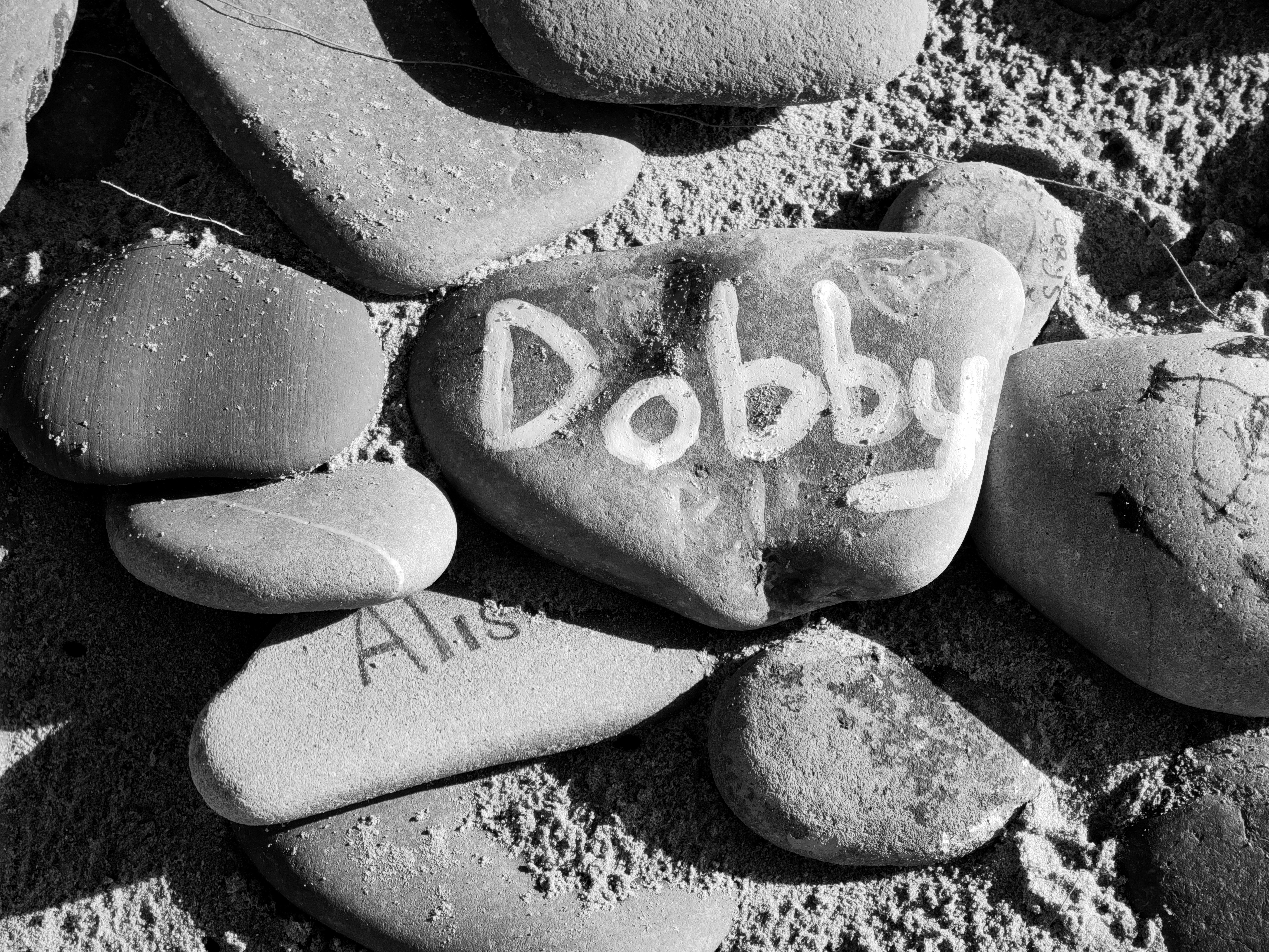 A black and white photo of rocks with the word dobby written on them ...