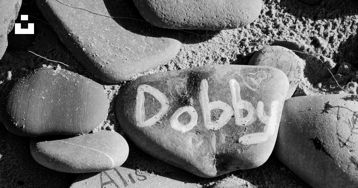 A black and white photo of rocks with the word dobby written on them ...