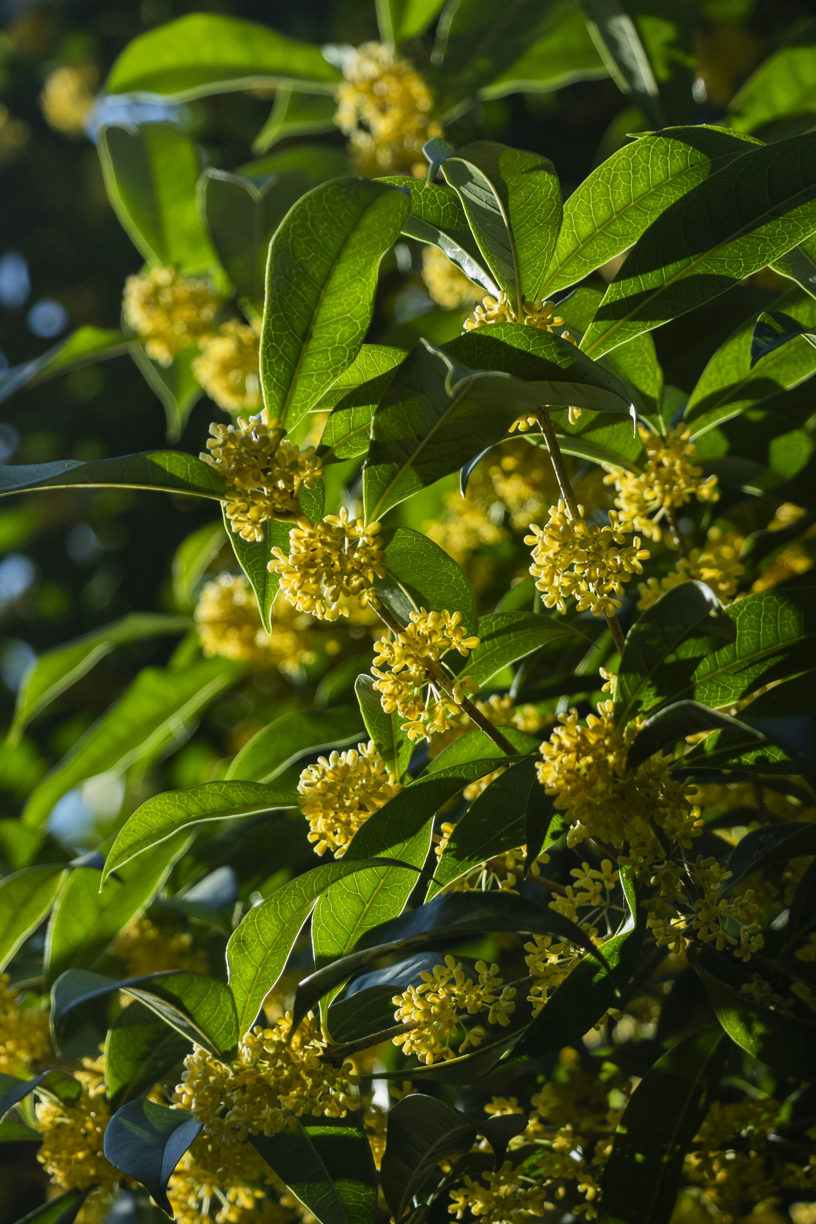 Photo by kevinwang413156