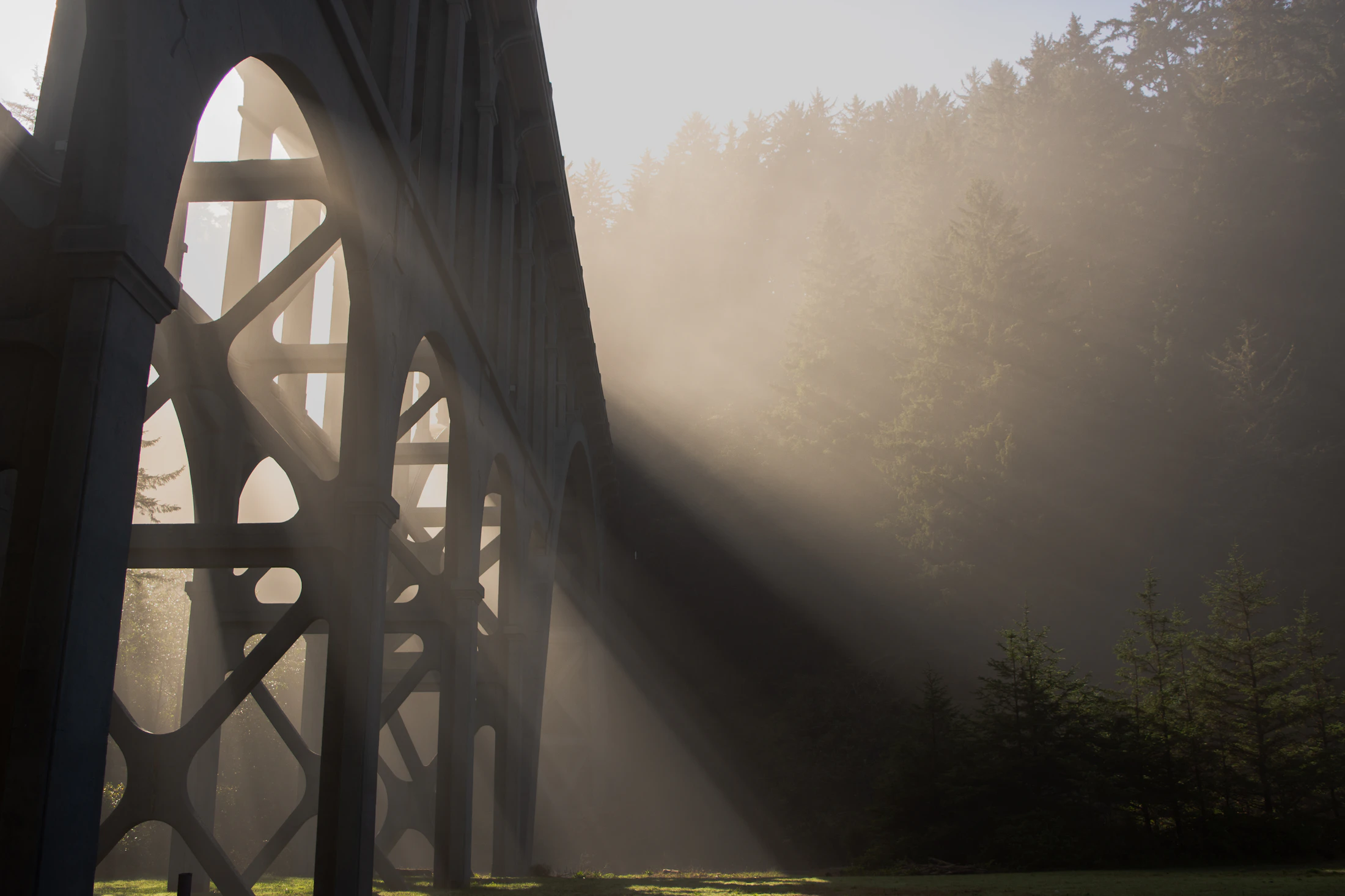 Sunlight cutting through fog beside an architectural bridge on the Oregon coast