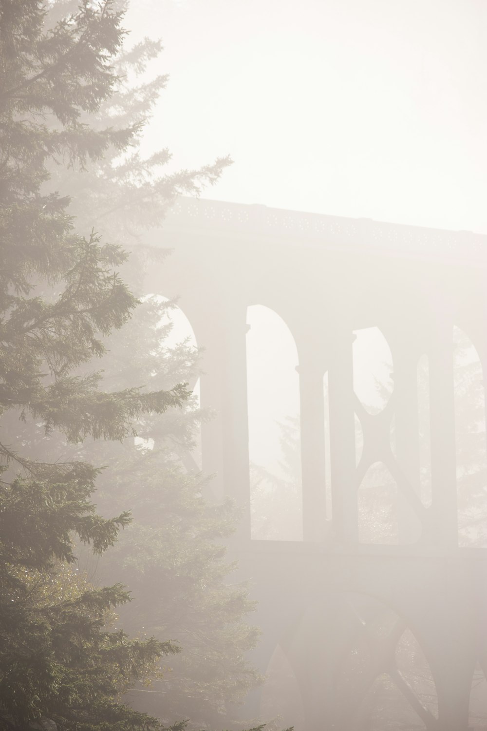 a bridge in the fog with trees in the foreground