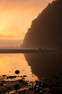 a person riding a horse on a beach at sunset