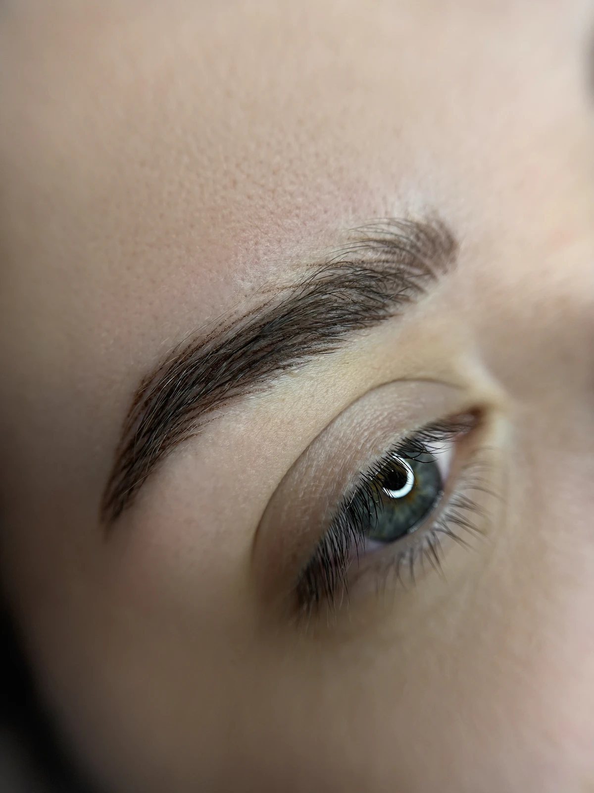 Sourcil effet poudré bien défini après cicatrisation