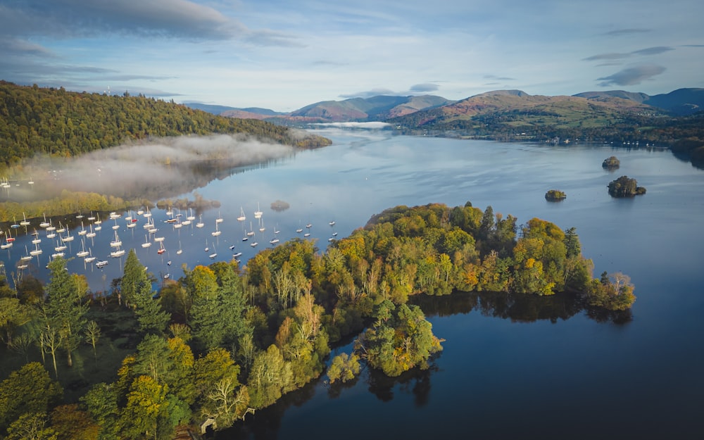 a large body of water surrounded by trees