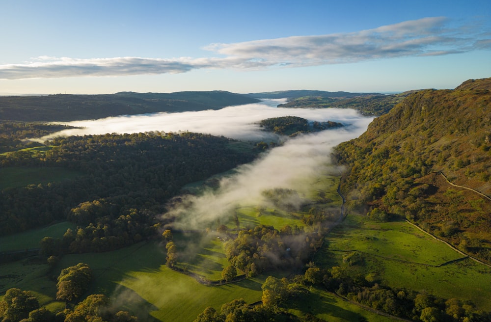 Una veduta aerea di una valle circondata da alberi