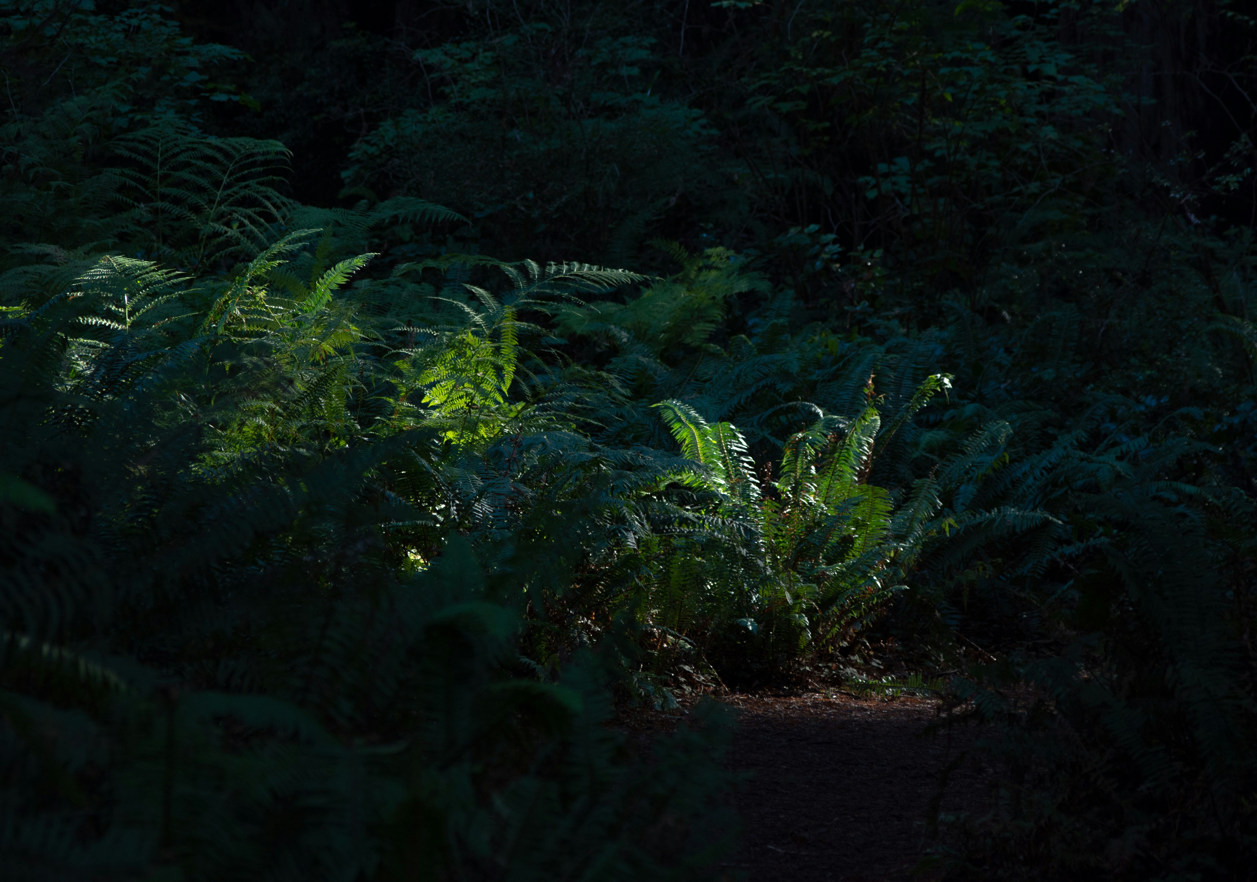 Photo by alexmoliski