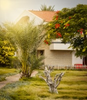 Cozy family home with a well-kept garden and tropical plants in the front yard.