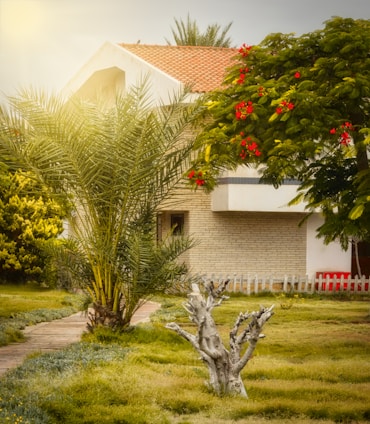 A cozy house with a garden in Villahermosa.