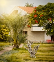 A cozy house with a red-tiled roof is partially hidden behind lush greenery, including a palm tree and a vibrant tree with red flowers. A pathway of stone slabs winds through a well-manicured grassy lawn, leading to the house. A small picket fence is visible in the background.