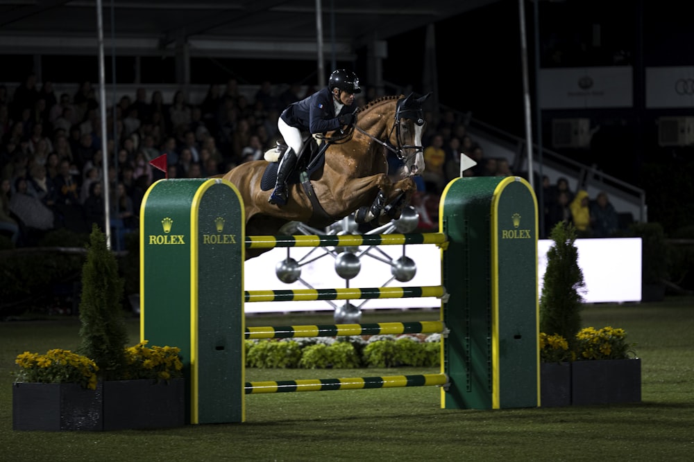 a person on a horse jumping over an obstacle