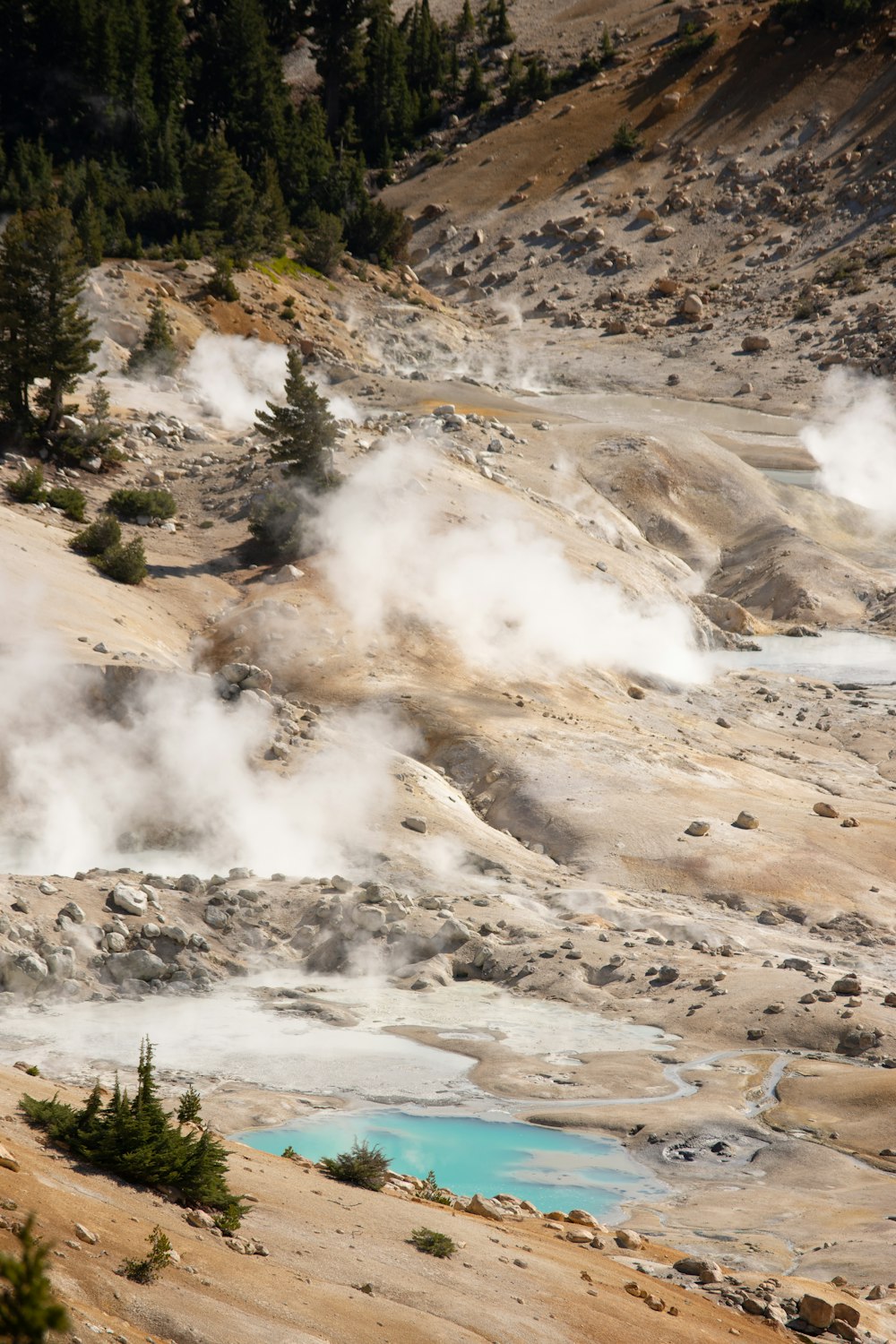 steam rises from the ground near a body of water