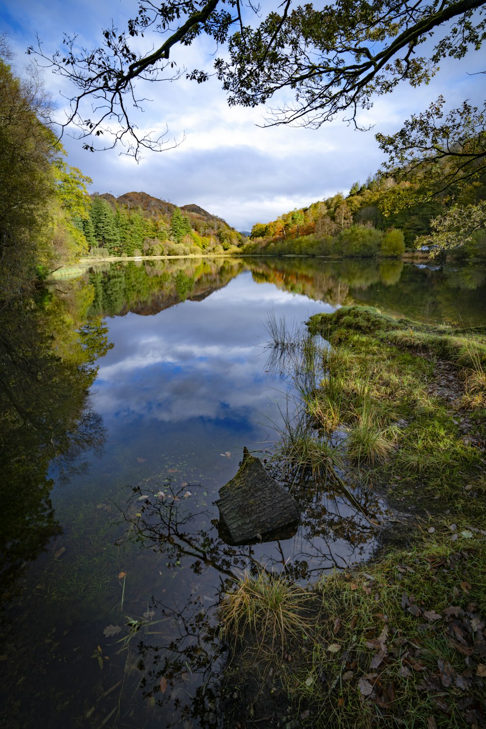 uno specchio d'acqua circondato da una foresta