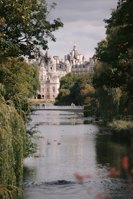 a body of water surrounded by trees and buildings