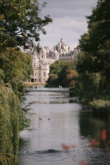 a body of water surrounded by trees and buildings