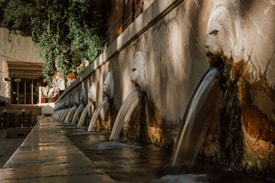 A series of stone lion heads serve as water spouts in a fountain, each continuously pouring water into a trough below. The fountain is adjacent to a wall with spots of moss and wear. Above the fountain, lush green vines cascade down, creating a natural backdrop. There is a sunlit building with tall windows and a canopy in the background.