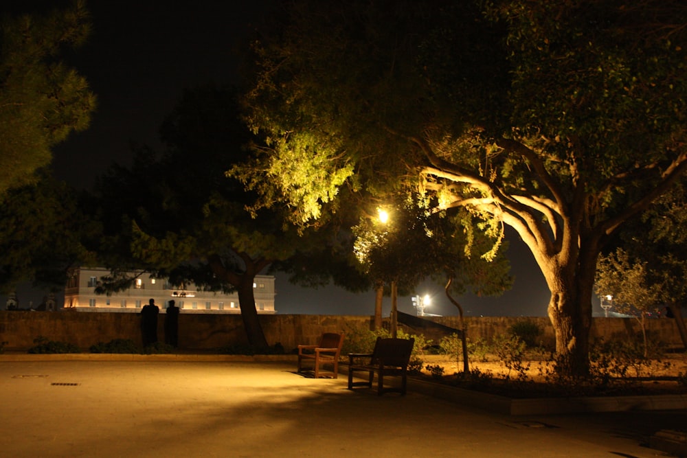 a couple of benches sitting under a tree at night
