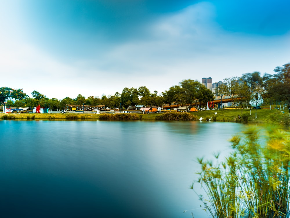 a large body of water surrounded by a lush green park