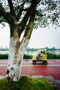 A yellow golf cart carrying two passengers travels along a vibrant red road. A large tree with lush green leaves dominates the foreground, while a serene waterway and greenery are seen in the background.