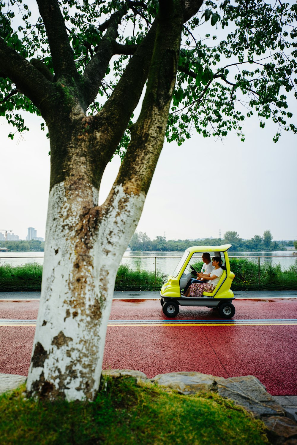 a yellow car driving down a road next to a tree