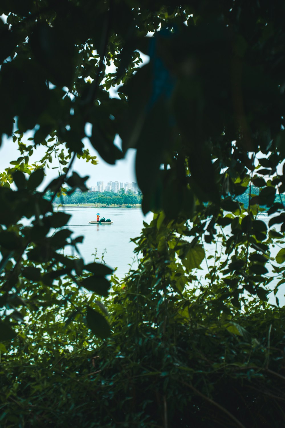 a boat in a body of water surrounded by trees