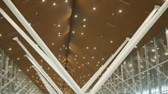 A high-end acoustical ceiling installation in a modern setting.