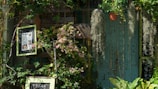 A lush garden setting with various green plants and a few flowering ones in the foreground. A framed sign with text is partially visible among the foliage. Several hanging plants drape down in long strands, while a teal background features minimalist line art and patterns.