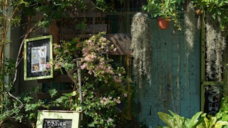 A lush garden setting with various green plants and a few flowering ones in the foreground. A framed sign with text is partially visible among the foliage. Several hanging plants drape down in long strands, while a teal background features minimalist line art and patterns.
