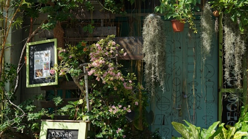 A lush garden setting with various green plants and a few flowering ones in the foreground. A framed sign with text is partially visible among the foliage. Several hanging plants drape down in long strands, while a teal background features minimalist line art and patterns.