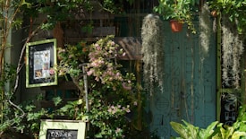 A lush garden setting with various green plants and a few flowering ones in the foreground. A framed sign with text is partially visible among the foliage. Several hanging plants drape down in long strands, while a teal background features minimalist line art and patterns.