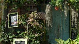 A lush garden setting with various green plants and a few flowering ones in the foreground. A framed sign with text is partially visible among the foliage. Several hanging plants drape down in long strands, while a teal background features minimalist line art and patterns.