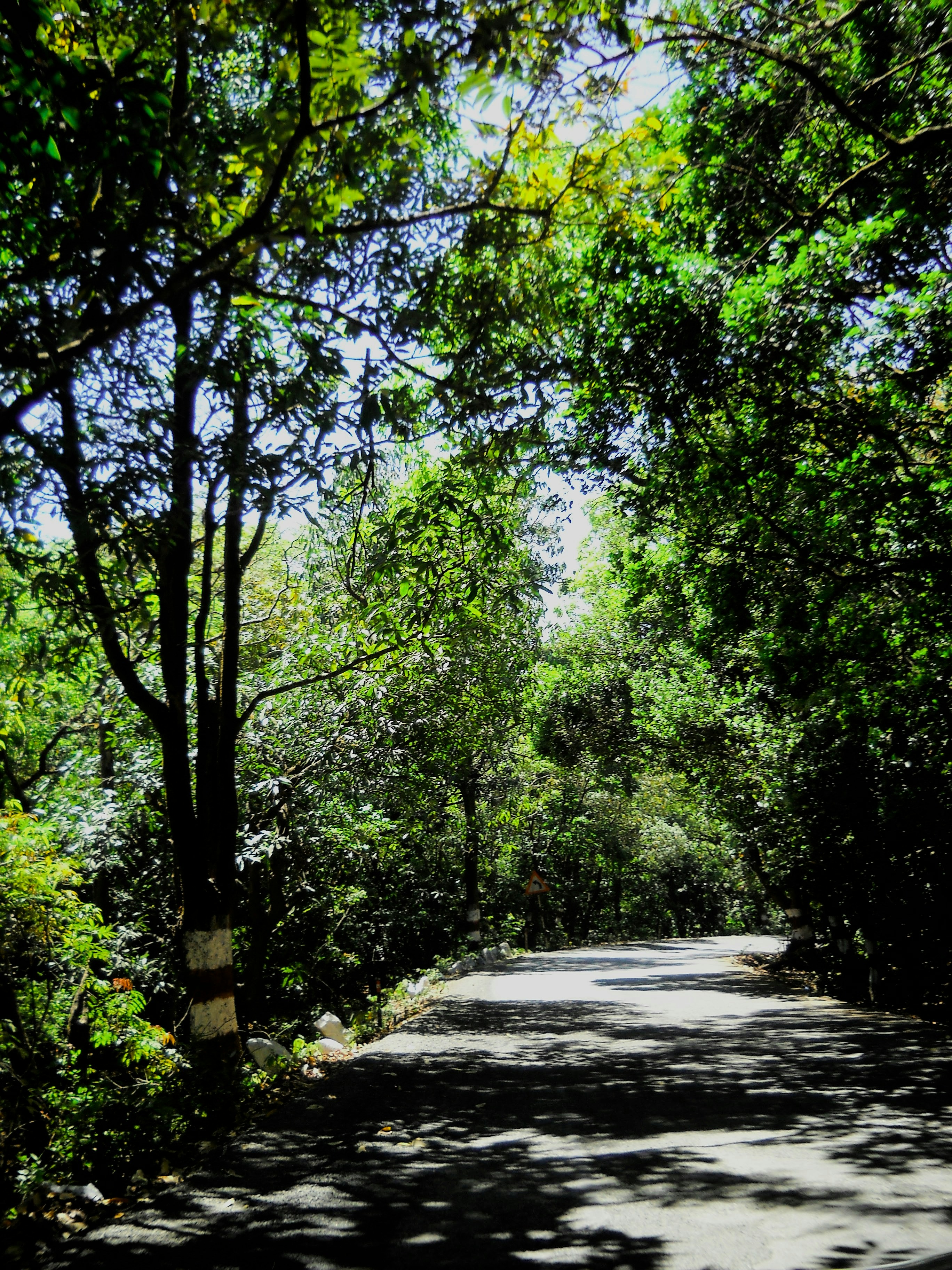 Photo by arundhativisuals