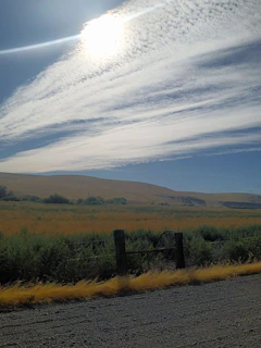 Farmland landscape featuring a newly constructed rural road surrounded by native grasses.