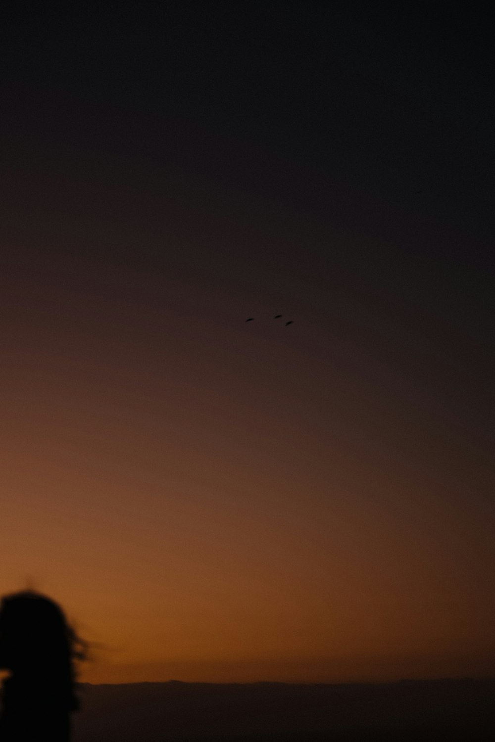 a person standing on a beach at sunset