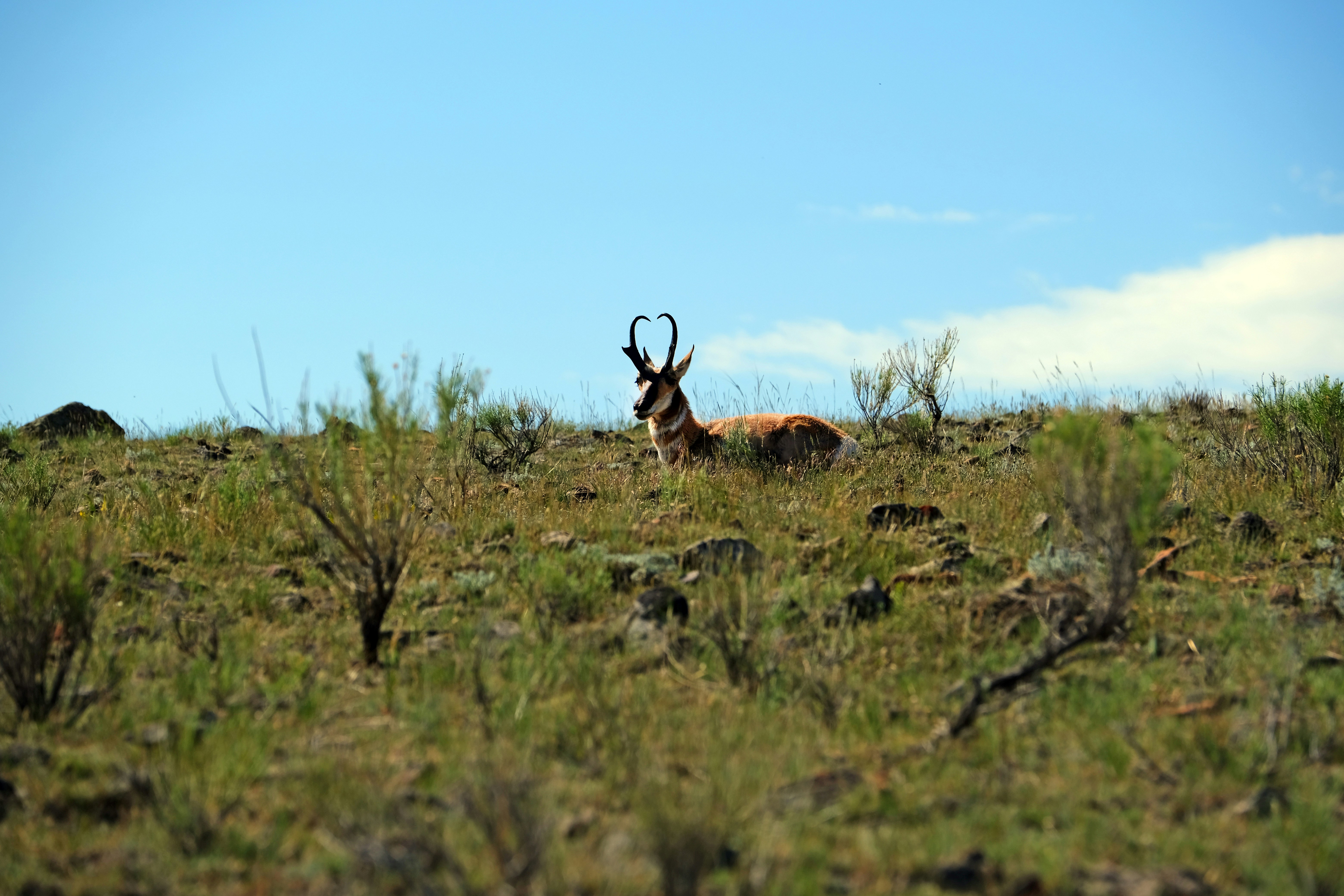 Photo by surajvenkat