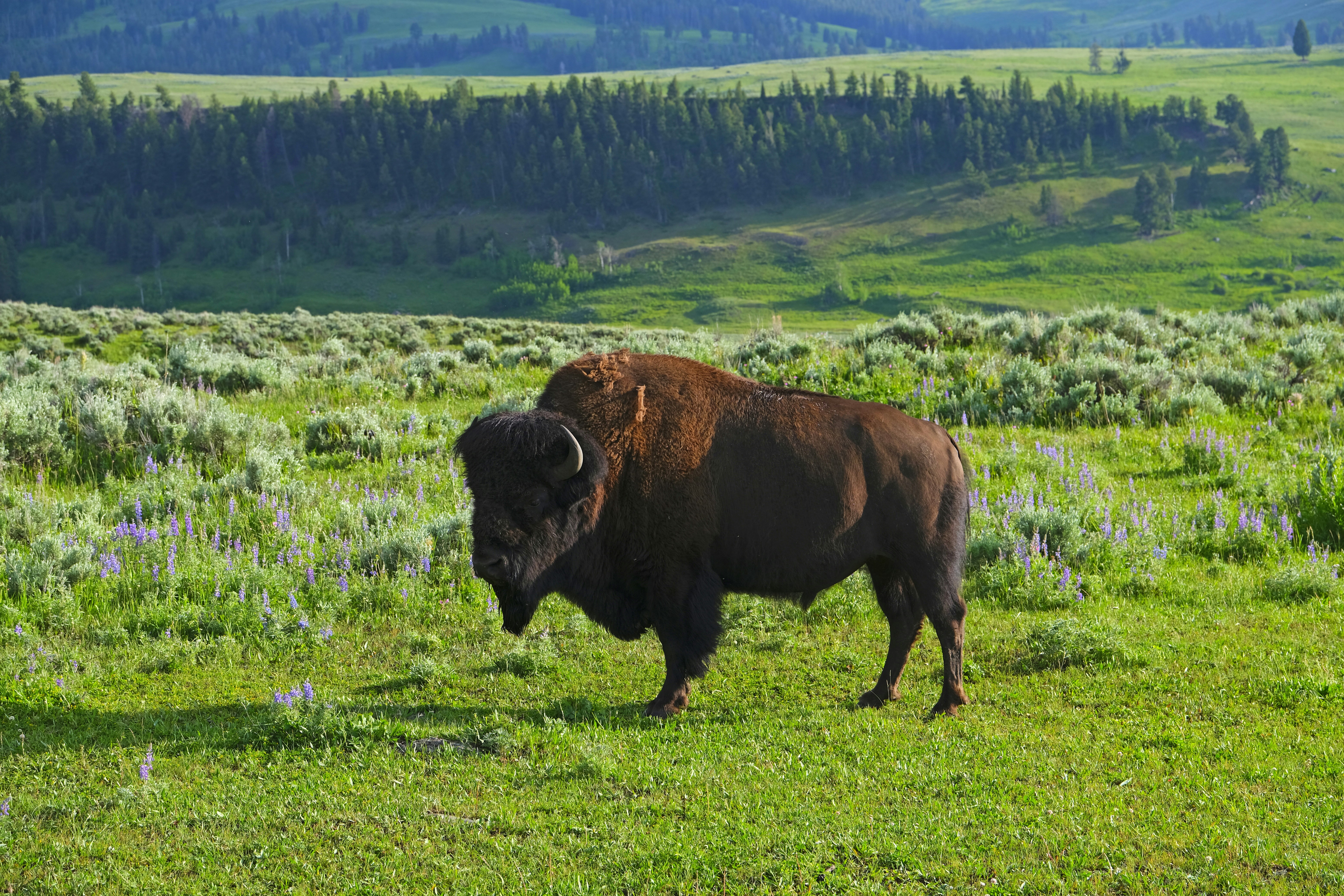 Photo by surajvenkat